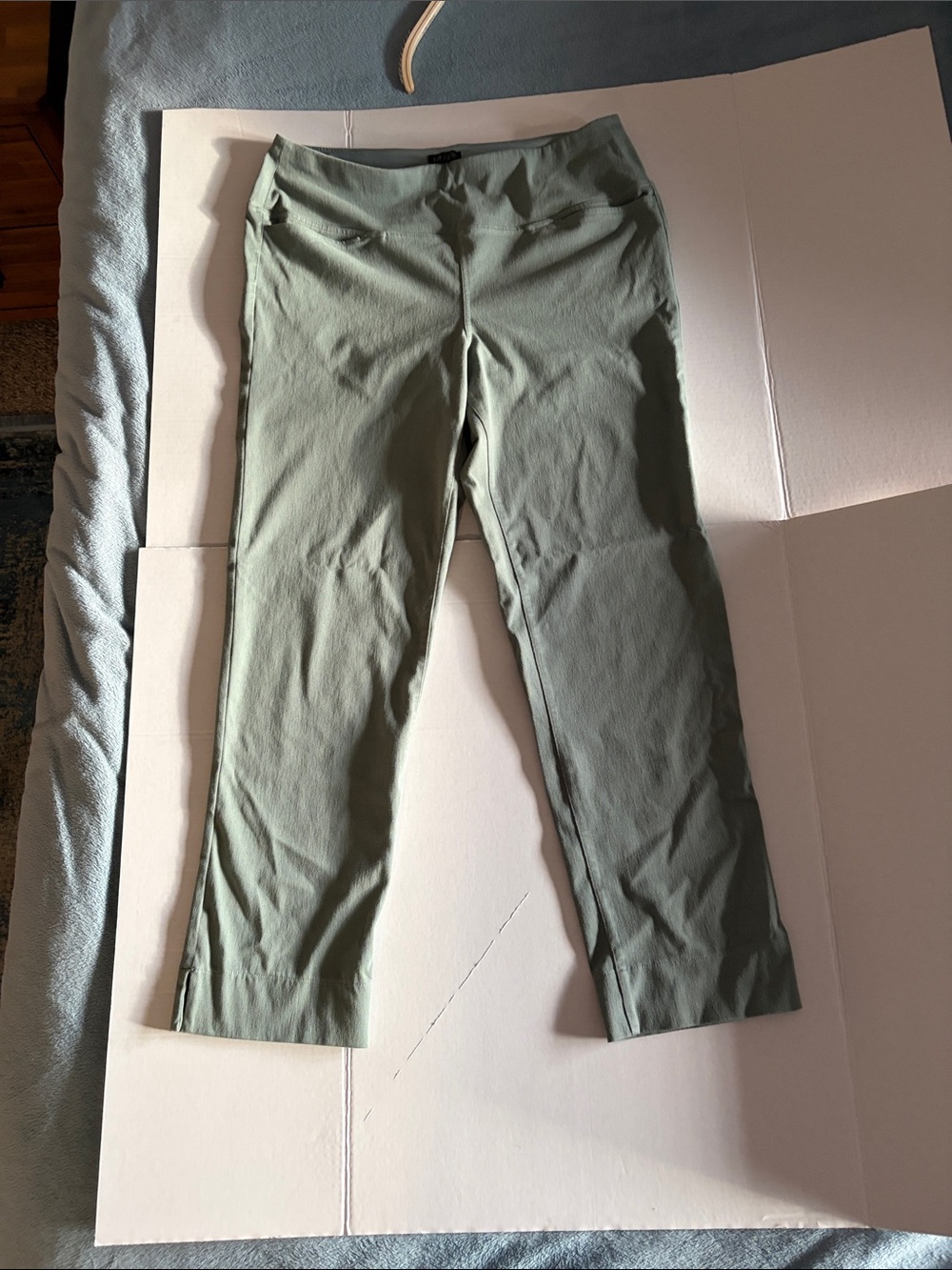 J. Jill Straight Leg Pants in Olive Green
